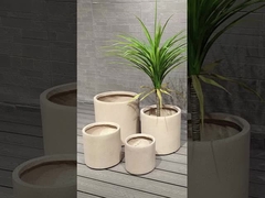 δοκιμή πτώσης