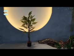 τεχνητές εγκαταστάσεις