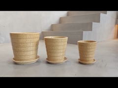 Κεραμικές φυτευτές