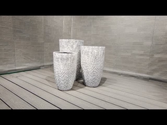 Φυτογλυκεράς