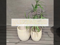 Ζευγάρι Chic Light Beige Flower Pots: Μοναδικά κατακόρυφα μοτίβα στρογγυλή ίνα πηλό φυτεύτη ελαφρύ βάρος ανθεκτικό χαμηλή συντήρηση διακοπές διακόσμηση γραφείων βίλα οροφή κήπους τοπίο έργο