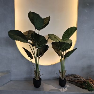 Αγορά Ρεαλιστικό τεχνητό φτερό με φυσικά πράσινα φύλλα online manufacture