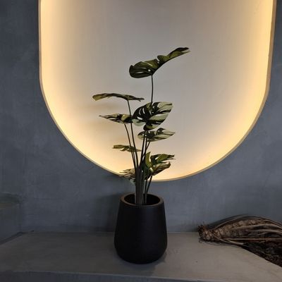 Ανθεκτικό στα έντομα ψεύτικο δέντρο Monstera 70-100cm για διακόσμηση χαμηλής συντήρησης