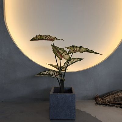 Ζωϊκά πράσινα πλαστικά τεχνητά φυτά 70-120cm για εσωτερική / εξωτερική διακόσμηση