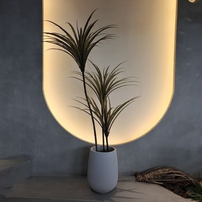 Τεχνητή Yucca Tree Φυτά ψεύτικα Ανθεκτικά σε έντομα Ανερόπερα 160cm