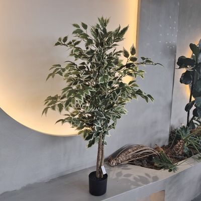 Υποαλλεργικά πλαστικά πλαστά φυτά ανθεκτικά στα έντομα 120cm