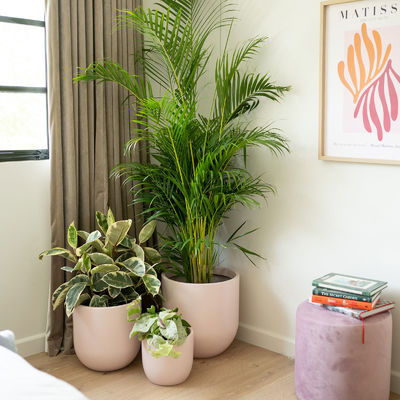 Μεταμορφώστε τον Κήπο σας με ανθεκτικές και ελαφρές φιάλες από υαλοπίνακα