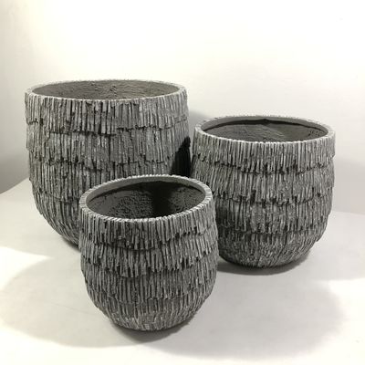 Υψηλή υφή ΓΡΚ Φυτέλλες ανθοφόρων για τον κήπο σας