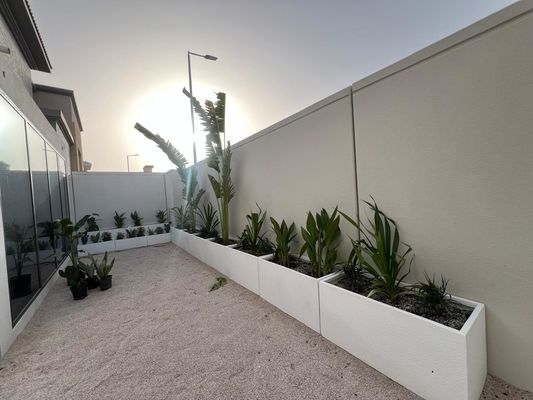 Τελικά φυτέματα από ινώδη πηλό