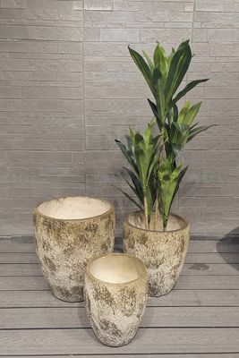 Ψηλή, Γήινη Απόχρωση, Στρογγυλή, από Ίνες Πηλού, Ελαφριά, Ανθεκτική Γλάστρα Κήπου στην Ταράτσα