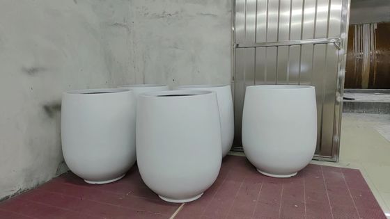 Ονομασία